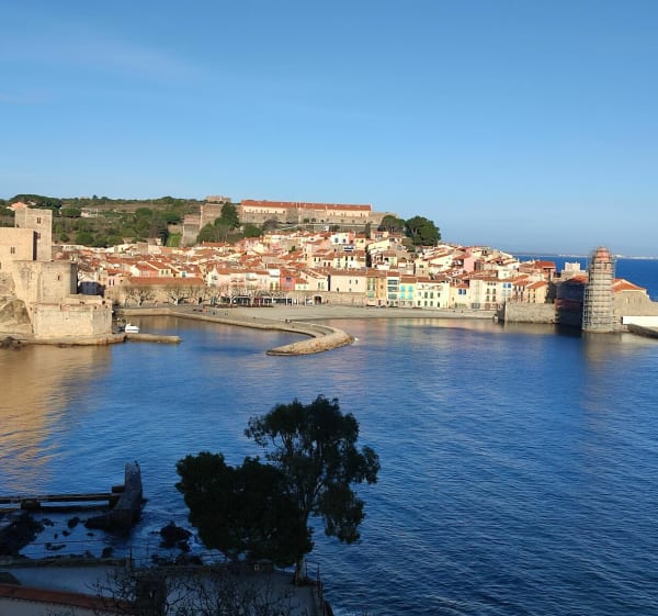 Boucle de Collioure par Notre-Dame de la Consolation - Collioure - 1