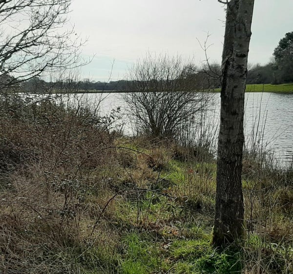Etang du Gros Caillou - Pornic - 1
