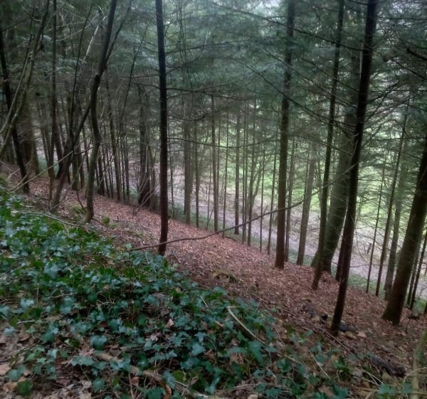 Côte de Montmorin et Mont Genezet à Plainoiseau - Plainoiseau - 1