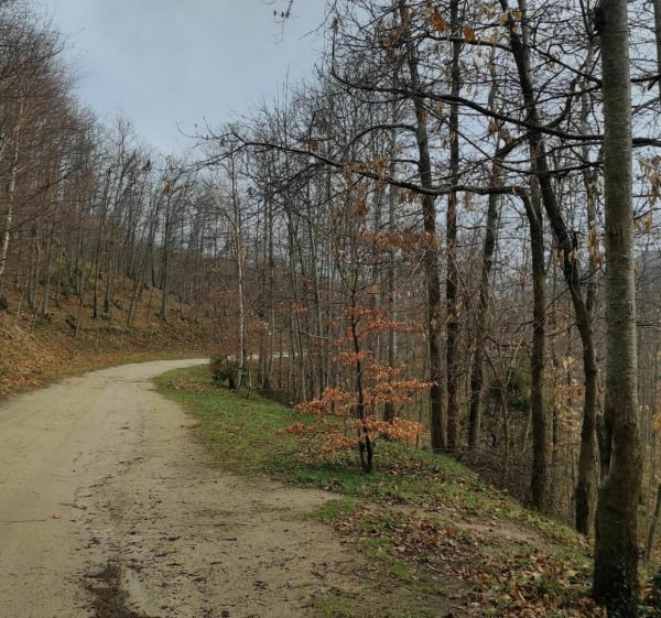 Saint-Laurent-de-Cerdans, calvaire et chemin de croix - Isabelle - 1
