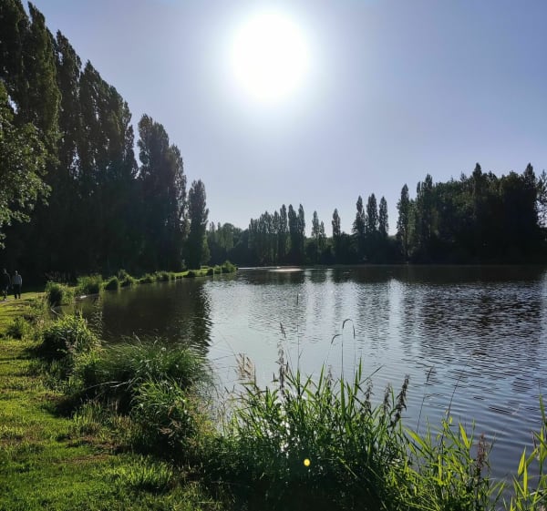 Courir autour des plans d'eau de Combourg - Combourg - 1