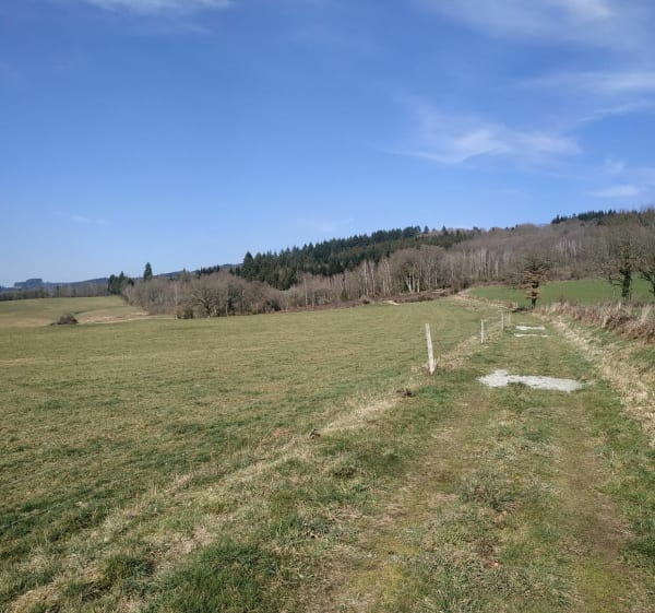 Chamberet - Les roches de Ceux - Chamberet - 1