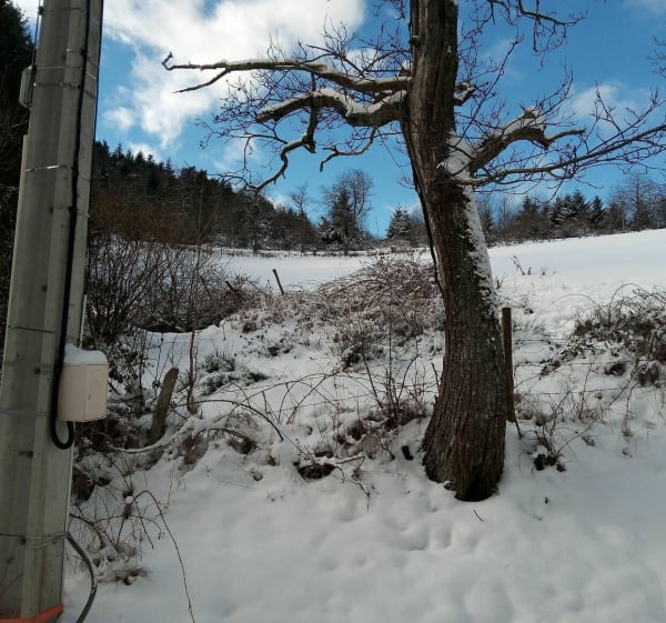 Sur les hauteurs de Villemontais - Villemontais - 1