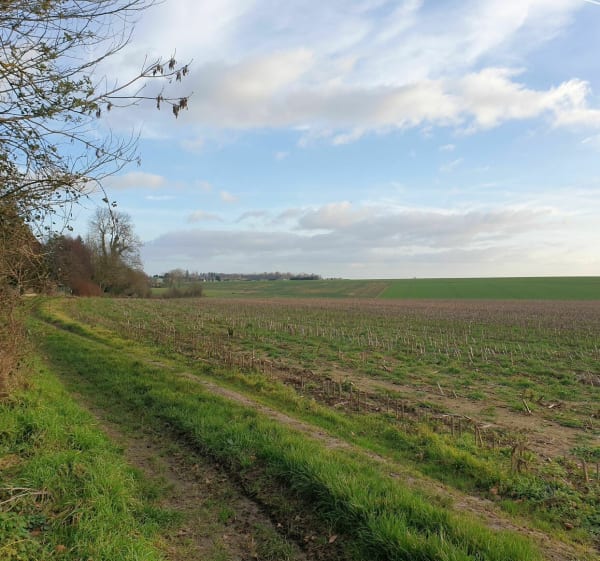 Balade dominicale de Bacqueville par le Bout de Bas - Bacqueville - 1