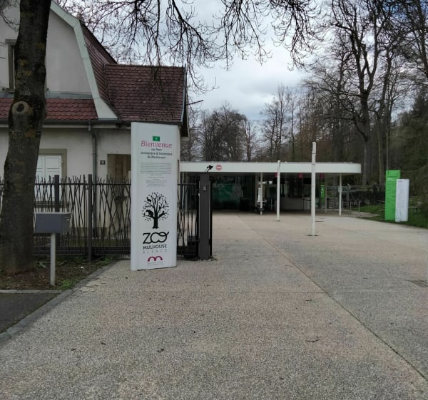 Tour de Riedisheim par le Zoo au cœur du Waldeck - Riedisheim - 1