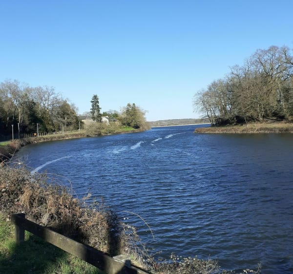 Feins : l'étang du Boulet et chemin de la Rigole. - Feins - 1