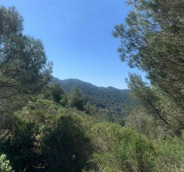 Piste Francillon au départ de Janas - La Seyne-sur-Mer - 1