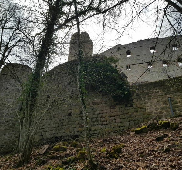 Mittelbergheim - Kasteel Andlau - Rots van Sainte Richarde - Mittelbergheim - 1