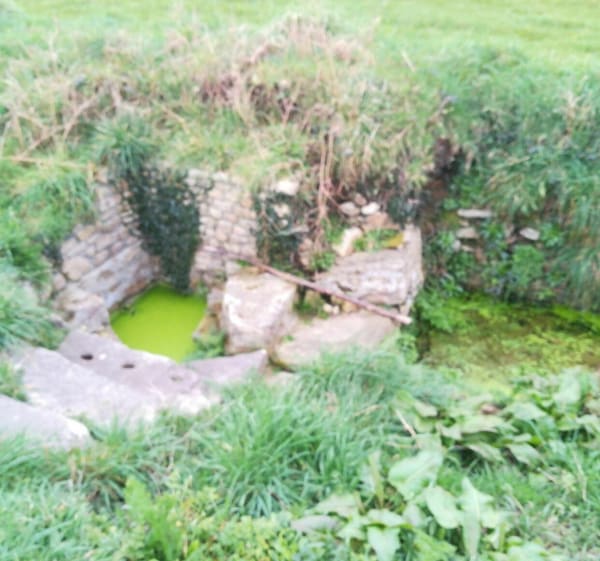 De Kergoniou à Croas Toul - Guissény - 1