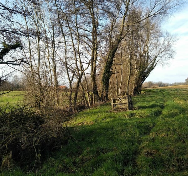Sur les chemins de Terdeghem - Terdeghem - 1