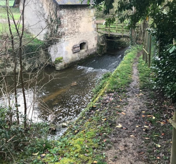 Belle petite balade dans les bois de Chateau la Vallière - Château-la-Vallière - 1