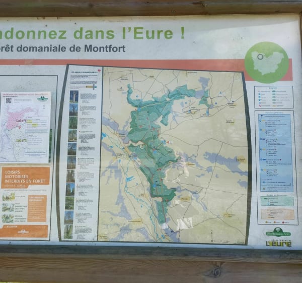 Balade découverte dans la forêt domaniale de Montfort - Illeville-sur-Montfort - 1