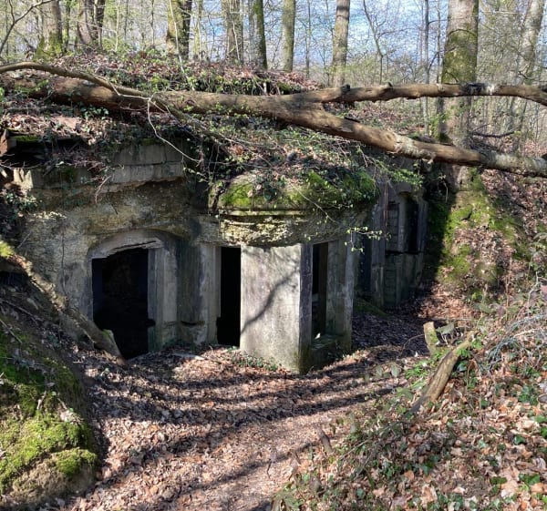 Boucle de Varennes-en-Argonne par le Kronprinz - Varennes-en-Argonne - 1