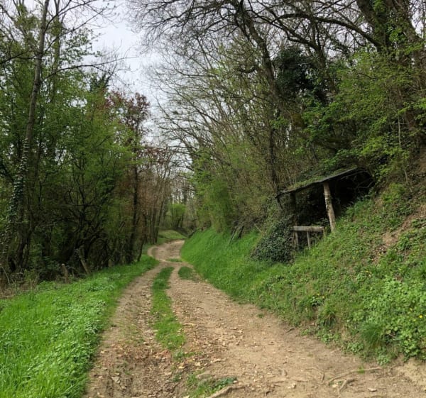 Les hauteurs de Rajat et les bords de l’Ozon - Saint-Pierre-de-Chandieu - 1