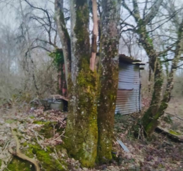 Au détour des commerçants de Mérié. Chemins, champs et route - Méry-és-Bois - 1