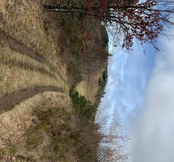 Aydat - Vichatel - La Cassière - Aydat - 1