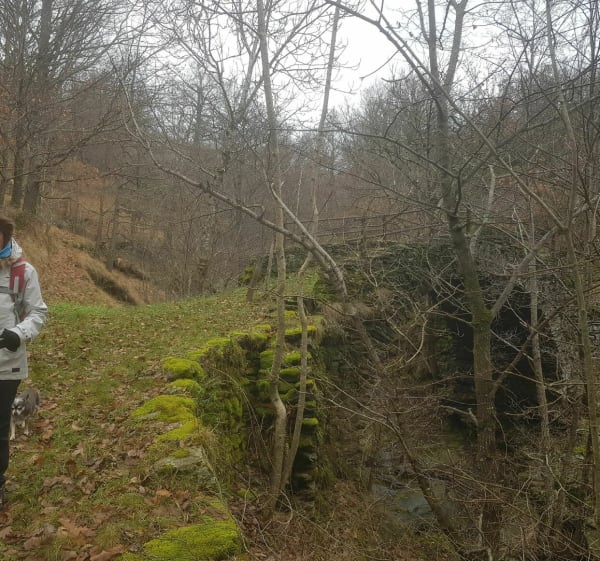 De Bergognon à Bergognon par le Bois de la Berque - Altier - 1