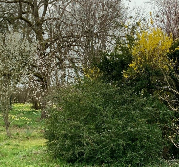 Boucle au départ du Château de GIEN via Poilly - Gien - 1