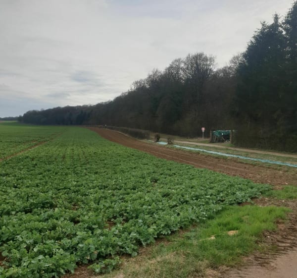 Visite des villes jumelles, Errouville et Serrouville - Errouville - 1