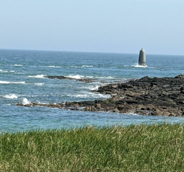 Sentier littoral de Barfleur par la Pointe de Sly - Barfleur - 1