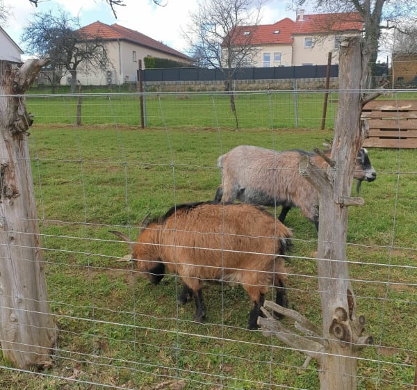 En pure campagne de Cutry à Ugny à VTC - Cutry - 1
