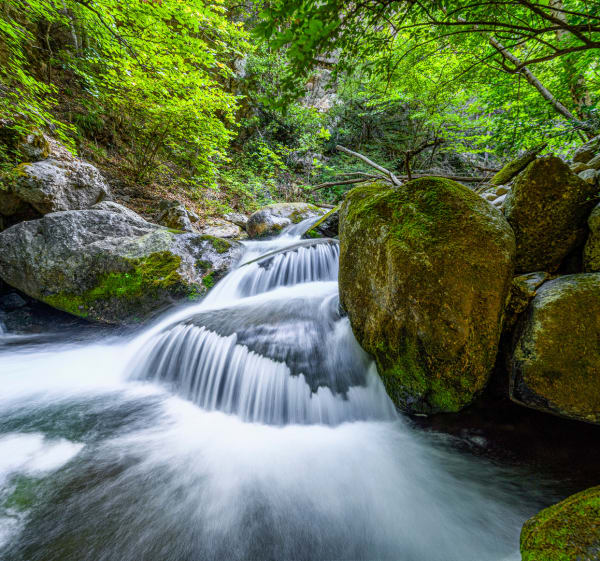 Grote lus van de Gorges de la Carança en zijn toevluchtsoord - Thuès-Entre-Valls - 1