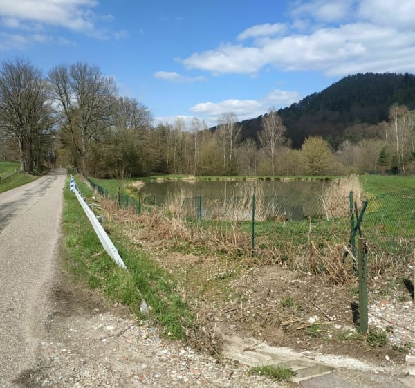 Aux deux chèvreries de Windstein et de Niedersteinbach à vélo - Gœrsdorf - 1