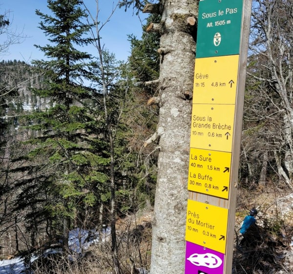 Courte rando avec vue à La Buffe - Autrans - 1