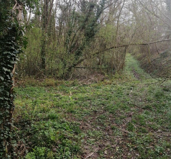 Canal de l'Ourcq et bois de Morfondé - Villeparisis - 1