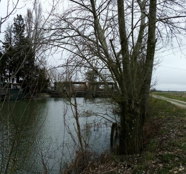 Boucle entre Le Gué de Velluire et La Taillée par le marais - Anne - 1