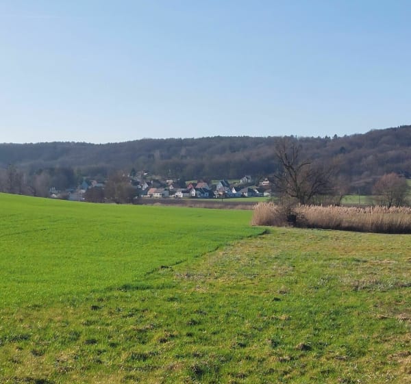Balade sur les hauteurs de Weinbourg - Weinbourg - 1