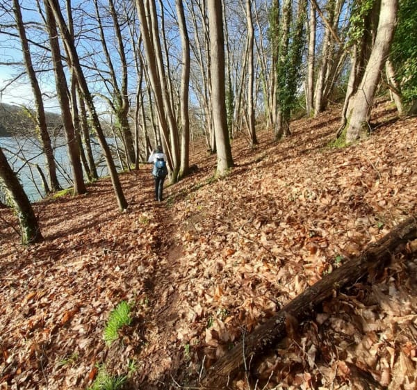 Rando Plouguiel - Plouguiel - 1