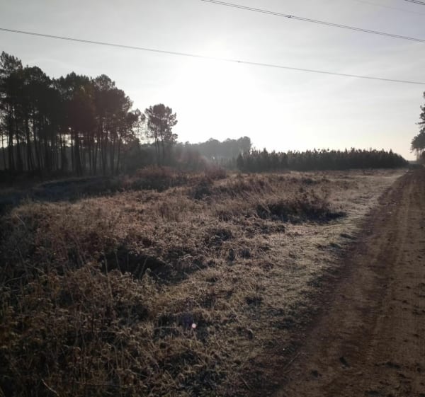 De Téthieu à Pontonx par les singles en VTT - Téthieu - 1