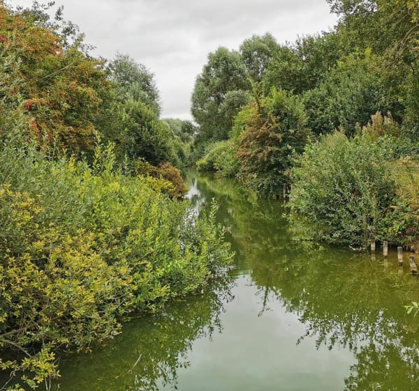 Les Plats Monts - Écourt-Saint-Quentin - 1