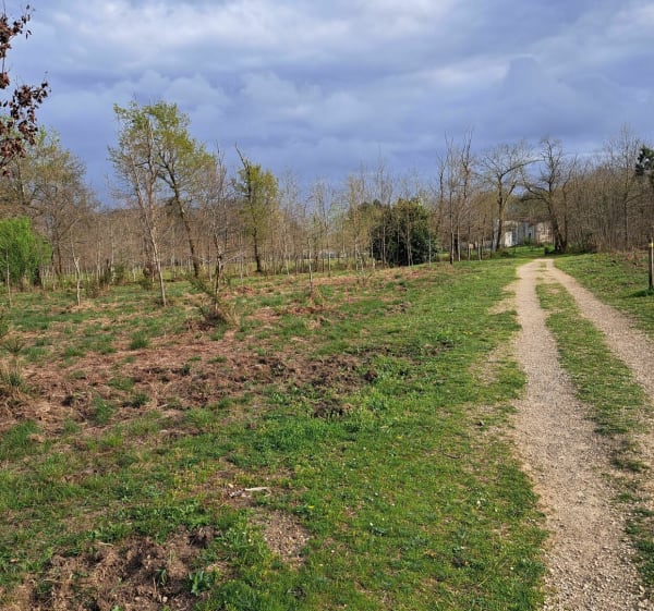 Parcours sportif, chemin de Ménasse, circuit jaune - Saint-Pierre-du-Mont - 1