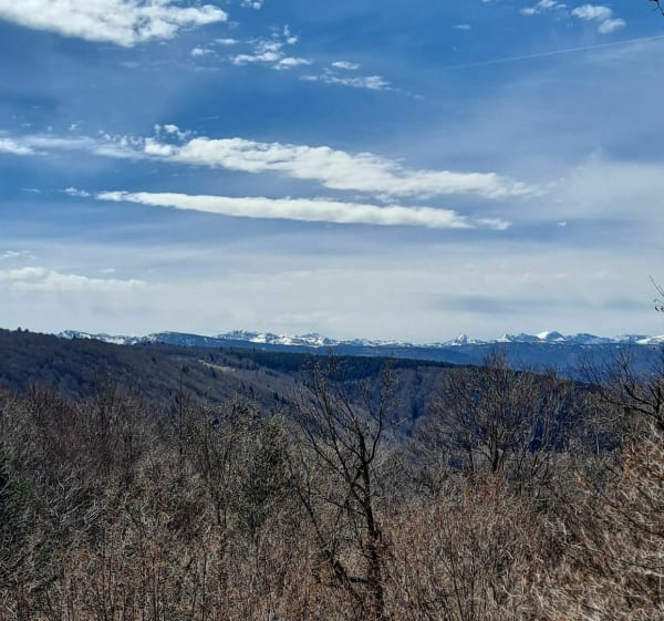 Col de Marmare en het Bois du Lauzet vanuit Caussou - Caussou - 1