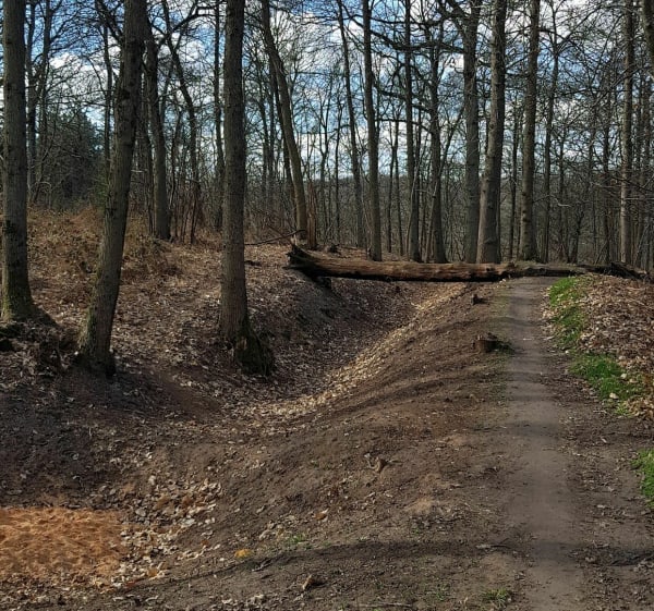 Balade dans la forêt de Meudon - Meudon - 1
