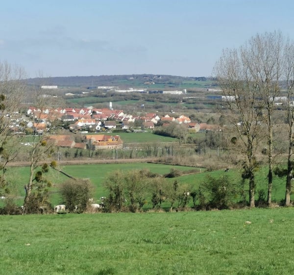 Sentier de la Converserie - Saint-Étienne-au-Mont - 1