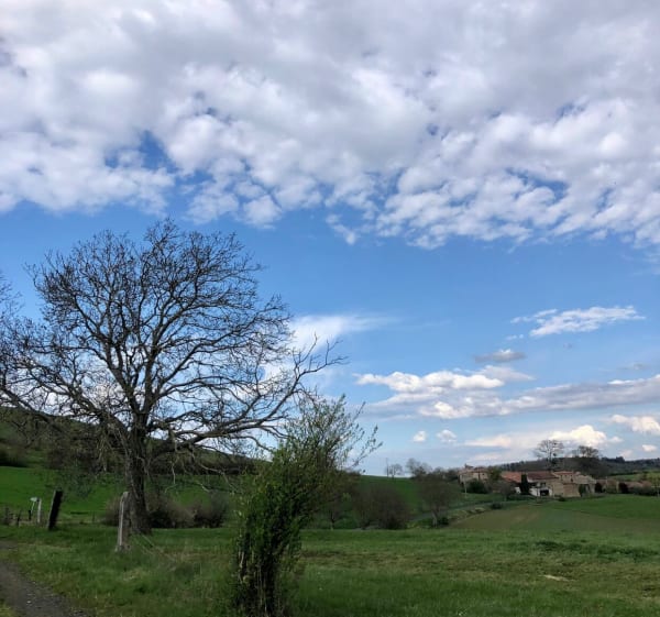 Egliseneuve-près-Billom et Vallée du Madet - Égliseneuve-prés-Billom - 1