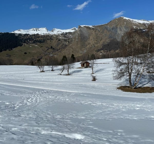 Magnifique petite randonnée dans la montagne à Tovet - La Léchère - 1