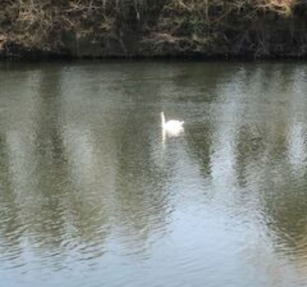 Ray-sur-Saône et Ferrières-lès-Ray par l'Ecluse - Ray-sur-Saône - 1