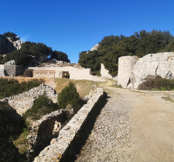 Les Monts Caume Est et Ouest - Évenos - 1