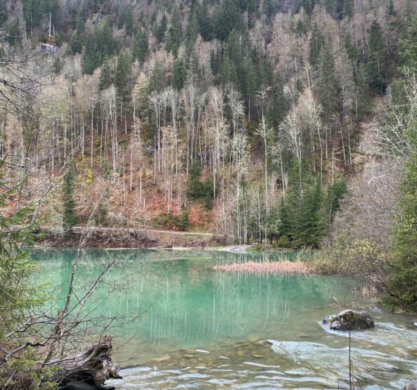 Tour du lac de Vallon en partant de Bellevaux - Bellevaux - 1