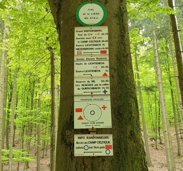 Col de la Liese, source du Licheneck par le haut du Lichneck - Niederbronn-les-Bains - 1