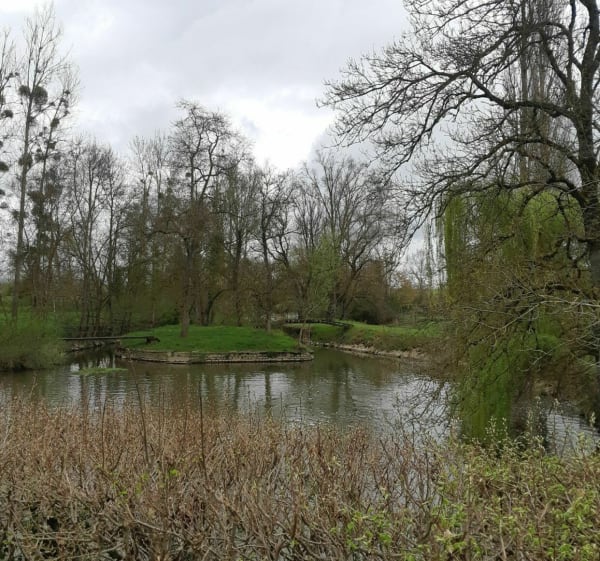 Dans la forêt. autour de la Chapelle de Bragny - La Chapelle-de-Bragny - 1