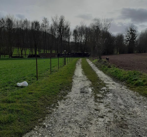 De Regnonval à Regnonval à travers la campagne - Blicourt - 1