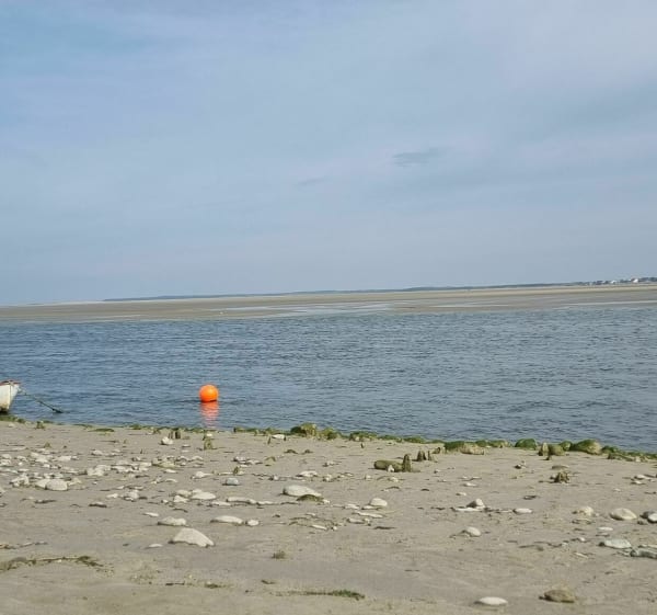 Sortie de l 'Autie depuis Saint-Valery-sur-Somme - Saint-Valery-sur-Somme - 1