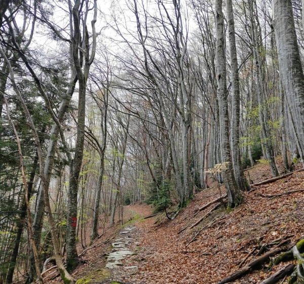 Petite boucle au-dessus de Mont-Saint-Martin - Mont-Saint-Martin - 1