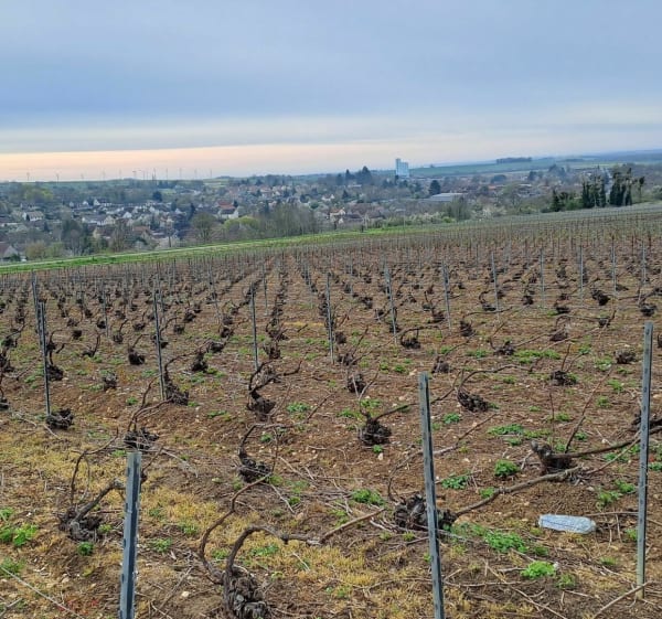 Boucle de la Noxe, Villenauxe-La-Grande. 10370. - Villenauxe-la-Grande - 1