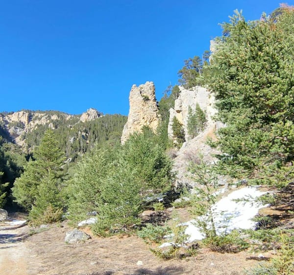 Korte wandeling naar het Enguysson-bos. - Ceillac - 1